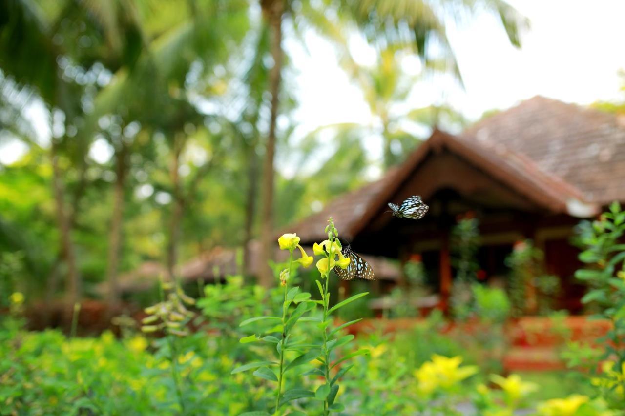 The Nattika Beach Resort Thrissur 外观 照片