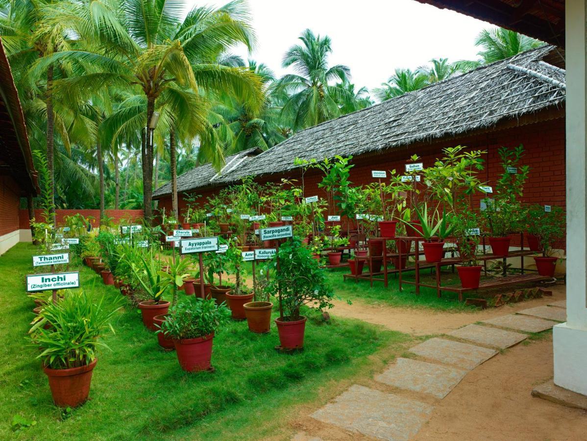 The Nattika Beach Resort Thrissur 外观 照片